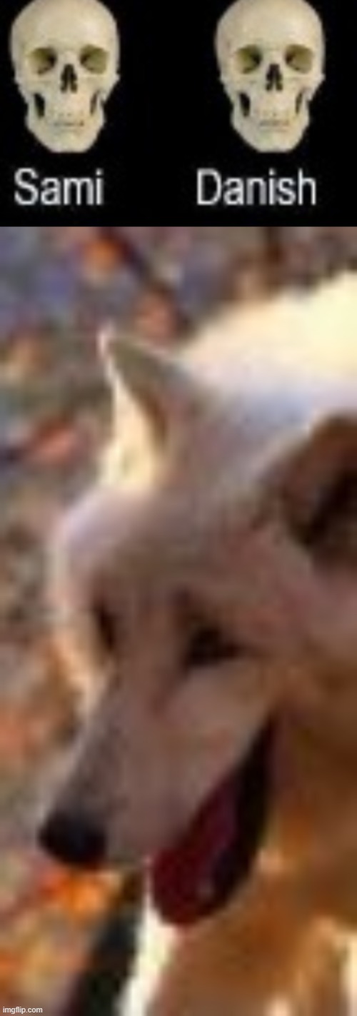 danish | made w/ Imgflip meme maker