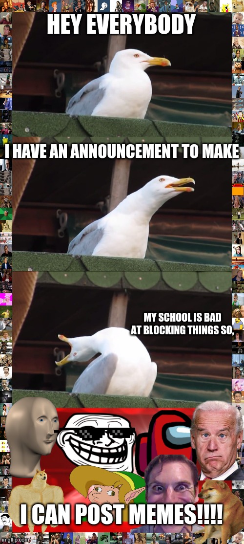 Inhaling Seagull Meme | HEY EVERYBODY; I HAVE AN ANNOUNCEMENT TO MAKE; MY SCHOOL IS BAD AT BLOCKING THINGS SO, I CAN POST MEMES!!!! | image tagged in memes,inhaling seagull,funny,fun,i'm back | made w/ Imgflip meme maker