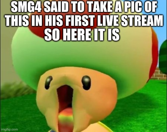 Pic from SMG4  live stream | SMG4 SAID TO TAKE A PIC OF THIS IN HIS FIRST LIVE STREAM; SO HERE IT IS | image tagged in smg4,toad,smg4 live stream | made w/ Imgflip meme maker