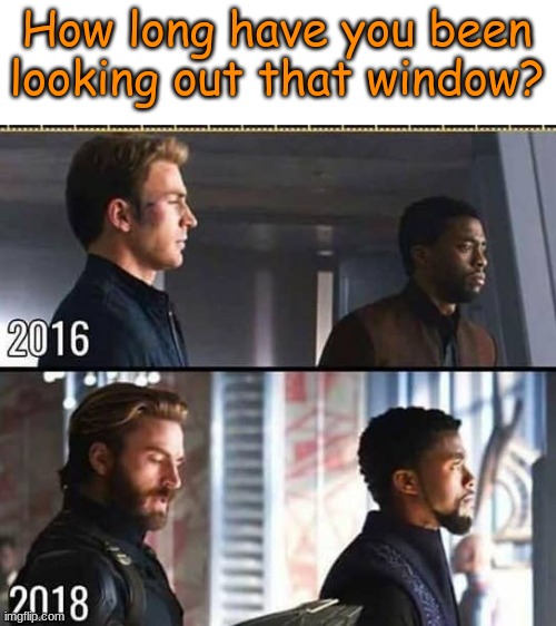 how long bro- | How long have you been looking out that window? | image tagged in long | made w/ Imgflip meme maker