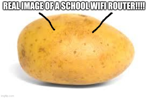We can all relate right | REAL IMAGE OF A SCHOOL WIFI ROUTER!!!! | image tagged in potato | made w/ Imgflip meme maker