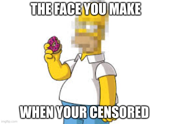 i had no clever title | THE FACE YOU MAKE; WHEN YOUR CENSORED | image tagged in the face you make | made w/ Imgflip meme maker