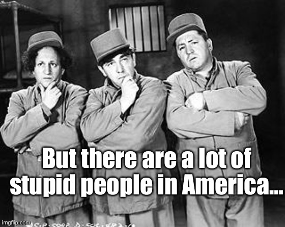 Three Stooges Thinking | But there are a lot of stupid people in America… | image tagged in three stooges thinking | made w/ Imgflip meme maker