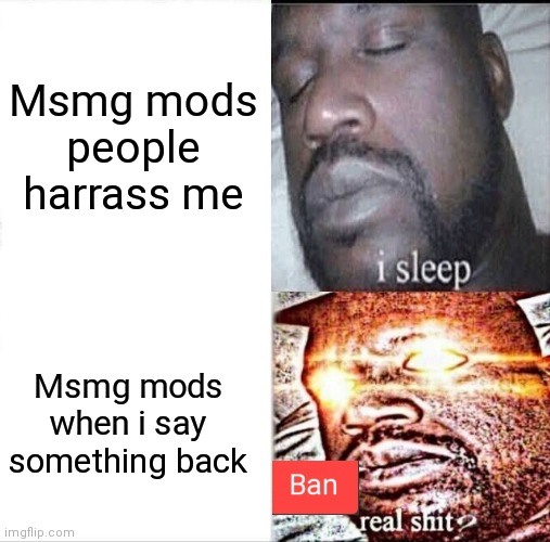 Msmg mods people harrass me; Msmg mods when i say something back | made w/ Imgflip meme maker