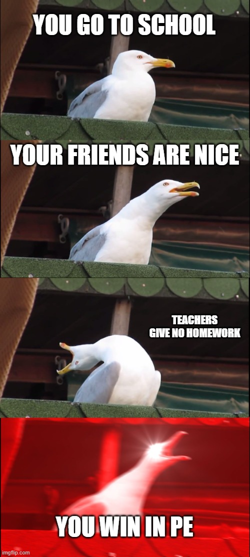 Inhaling Seagull | YOU GO TO SCHOOL; YOUR FRIENDS ARE NICE; TEACHERS GIVE NO HOMEWORK; YOU WIN IN PE | image tagged in memes,inhaling seagull | made w/ Imgflip meme maker