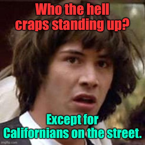 Conspiracy Keanu Meme | Who the hell craps standing up? Except for Californians on the street. | image tagged in memes,conspiracy keanu | made w/ Imgflip meme maker