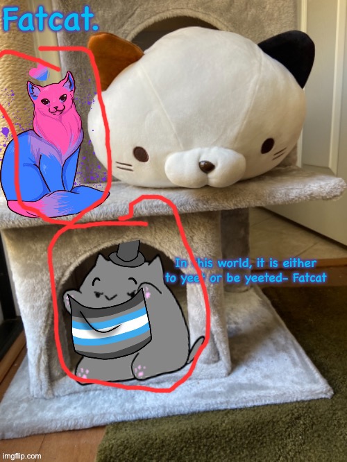 Fatcat’s template | image tagged in fatcat s template | made w/ Imgflip meme maker