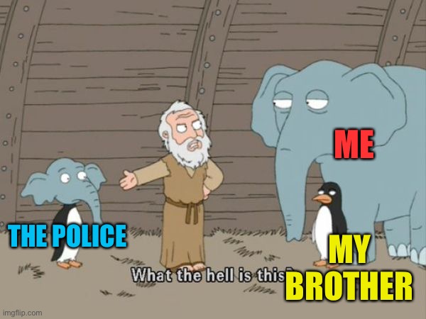 What the hell is this? | THE POLICE ME MY BROTHER | image tagged in what the hell is this | made w/ Imgflip meme maker