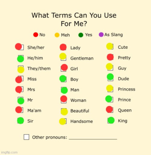 No one asked for this but whatever | image tagged in pronouns sheet | made w/ Imgflip meme maker