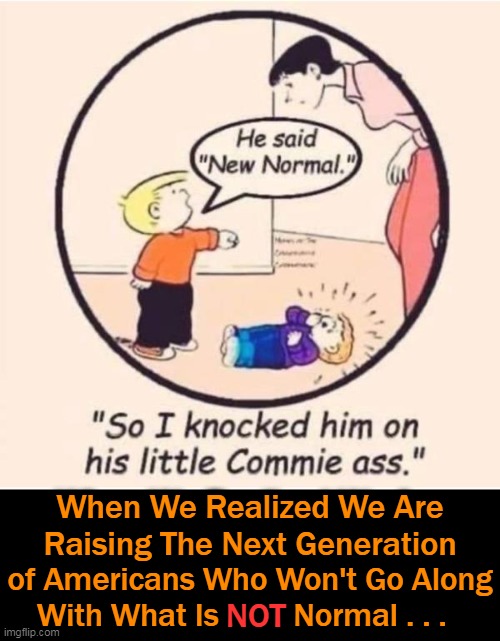 Teach Your Children Well . . . . | When We Realized We Are
Raising The Next Generation; of Americans Who Won't Go Along
With What Is NOT Normal . . . NOT | image tagged in political meme,liberals vs conservatives,new normal,reject radicals,wrong vs right,next generation | made w/ Imgflip meme maker