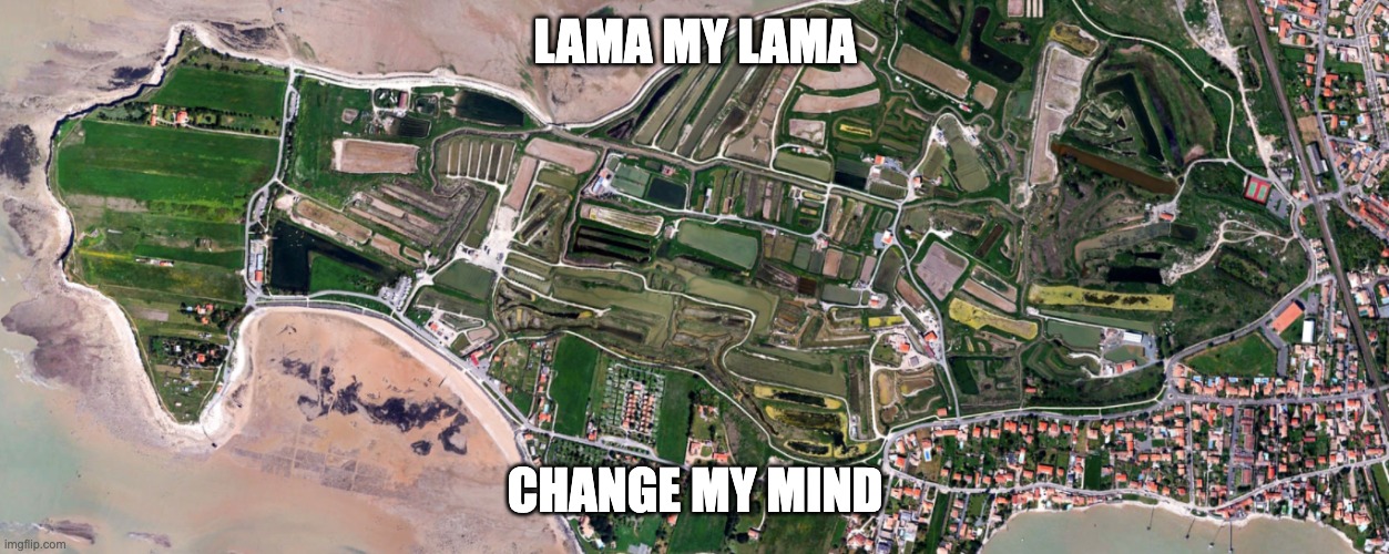 do you see the lama? | LAMA MY LAMA; CHANGE MY MIND | image tagged in lama land | made w/ Imgflip meme maker