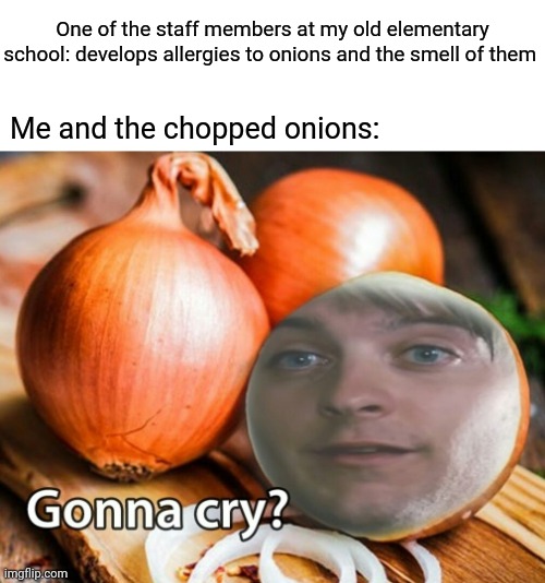 Onions | One of the staff members at my old elementary school: develops allergies to onions and the smell of them; Me and the chopped onions: | image tagged in gonna cry onion,blank white template,onions,onion,funny,memes | made w/ Imgflip meme maker
