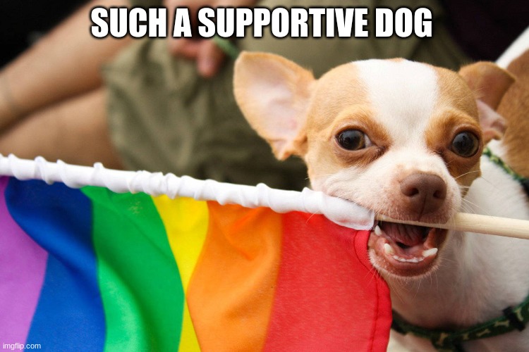 SUCH A SUPPORTIVE DOG | made w/ Imgflip meme maker