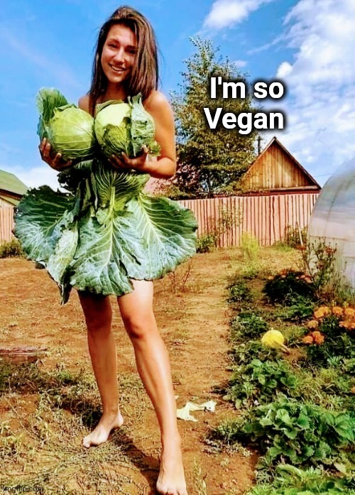 Mother Nature |  I'm so        
Vegan | image tagged in look at all these,cabbage,lettuce,if you look at it like this,beautiful nature,so god made a farmer | made w/ Imgflip meme maker