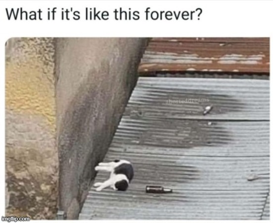 ? | made w/ Imgflip meme maker