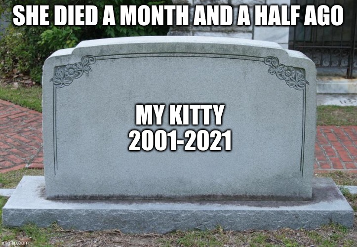 Gravestone | SHE DIED A MONTH AND A HALF AGO; MY KITTY
2001-2021 | image tagged in gravestone | made w/ Imgflip meme maker