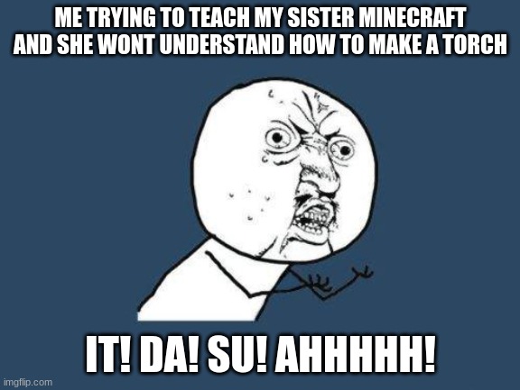 tru | ME TRYING TO TEACH MY SISTER MINECRAFT AND SHE WONT UNDERSTAND HOW TO MAKE A TORCH; IT! DA! SU! AHHHHH! | image tagged in why you no | made w/ Imgflip meme maker