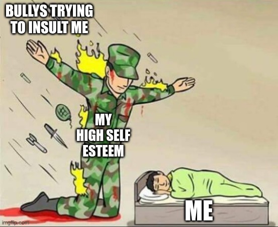 Me at school | BULLYS TRYING TO INSULT ME; MY HIGH SELF-ESTEEM; ME | image tagged in soldier protecting sleeping child | made w/ Imgflip meme maker