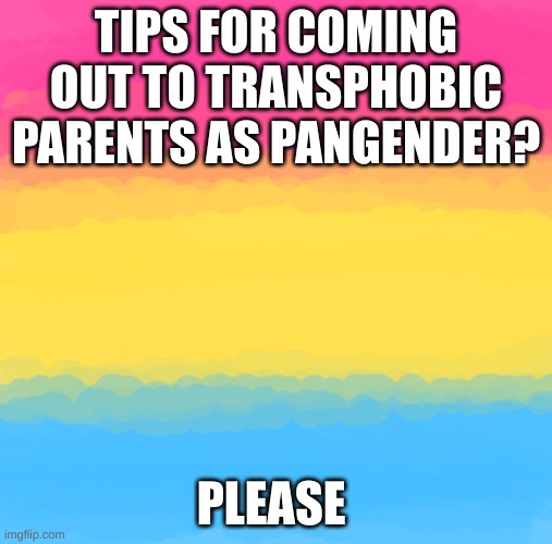 halp ;^; | TIPS FOR COMING OUT TO TRANSPHOBIC PARENTS AS PANGENDER? PLEASE | image tagged in pan flag | made w/ Imgflip meme maker