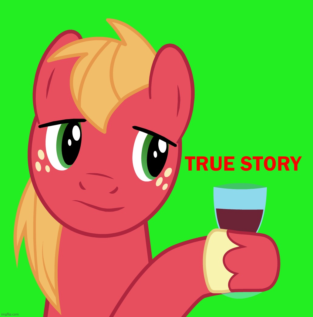 image tagged in true story,big macintosh,my little pony,memes | made w/ Imgflip meme maker