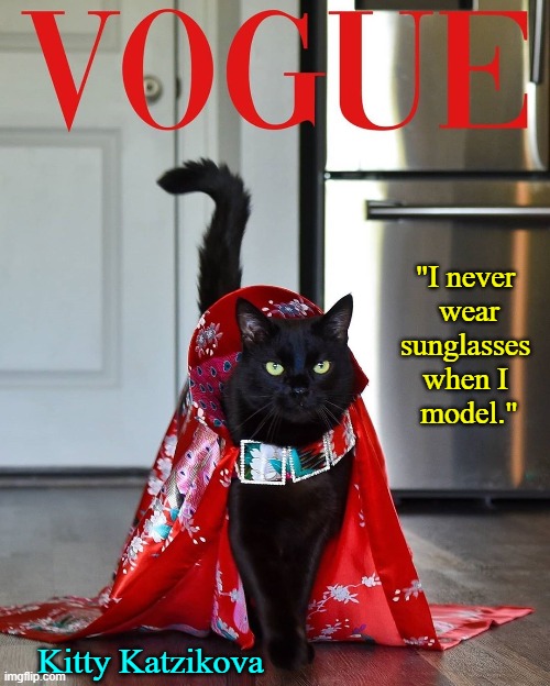 Kitty Katzikova: first feline model to make the Cover of Vogue | "I never 
wear
sunglasses 
when I 
model." Kitty Katzikova | image tagged in vince vance,cats,cover,vogue,fashionista,fashion memes | made w/ Imgflip meme maker