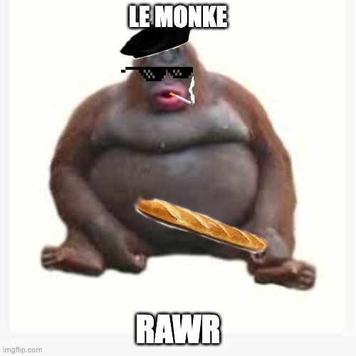 le monke | LE MONKE; RAWR | image tagged in monke | made w/ Imgflip meme maker