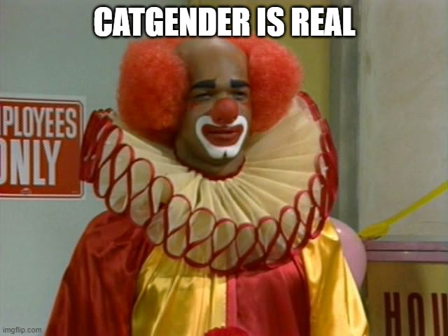 homey the clown | CATGENDER IS REAL | image tagged in homey the clown | made w/ Imgflip meme maker