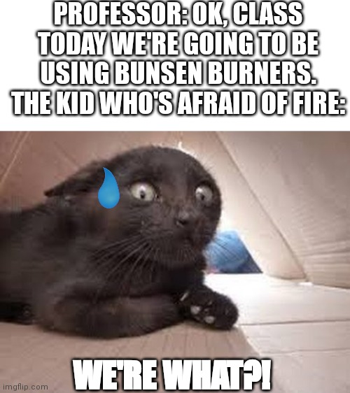 scared cat | PROFESSOR: OK, CLASS TODAY WE'RE GOING TO BE USING BUNSEN BURNERS.
THE KID WHO'S AFRAID OF FIRE:; WE'RE WHAT?! | image tagged in scared cat | made w/ Imgflip meme maker