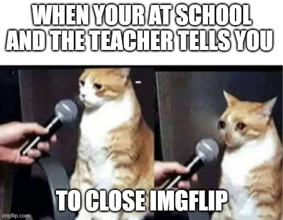 crying meme | WHEN YOUR AT SCHOOL AND THE TEACHER TELLS YOU; TO CLOSE IMGFLIP | image tagged in crying cat interview horizontal | made w/ Imgflip meme maker