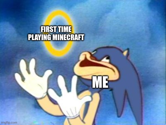 Sanic | ME FIRST TIME PLAYING MINECRAFT | image tagged in sanic | made w/ Imgflip meme maker