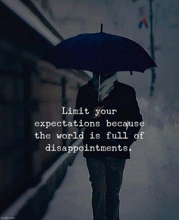 Limit your expectations because the world is full of disappoint | image tagged in limit your expectations because the world is full of disappoint | made w/ Imgflip meme maker
