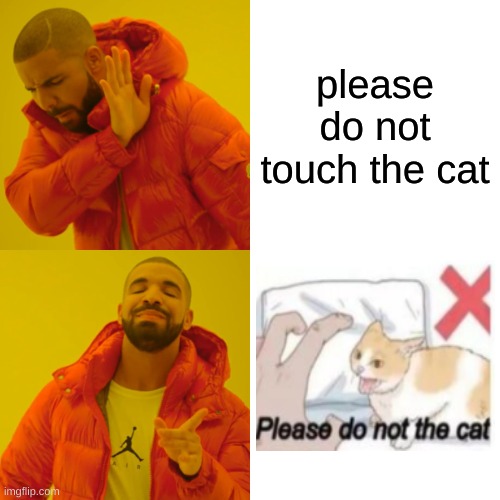 please do not the cat | please do not touch the cat | image tagged in memes,drake hotline bling | made w/ Imgflip meme maker