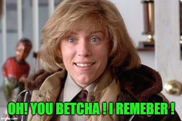 Fargo oh sure | OH! YOU BETCHA ! I REMEBER ! | image tagged in fargo oh sure | made w/ Imgflip meme maker