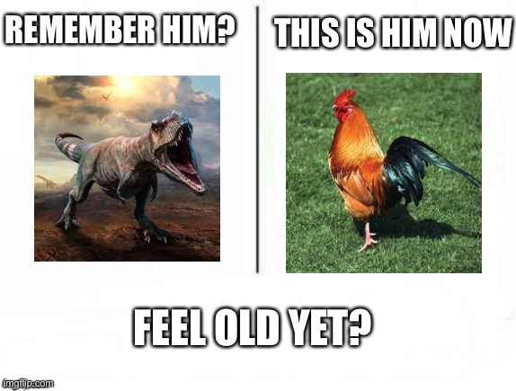 Idk if this meme has been made before so if it has don't be mean to me if it has | THIS IS HIM NOW; REMEMBER HIM? FEEL OLD YET? | image tagged in feel old yet,dinosaur,chicken | made w/ Imgflip meme maker