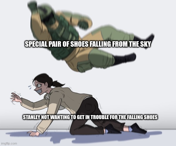 Book Project | SPECIAL PAIR OF SHOES FALLING FROM THE SKY; STANLEY NOT WANTING TO GET IN TROUBLE FOR THE FALLING SHOES | image tagged in meme man | made w/ Imgflip meme maker
