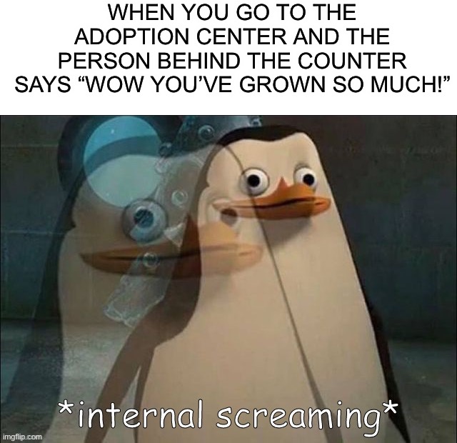 That kinda hurted me tho D: | WHEN YOU GO TO THE ADOPTION CENTER AND THE PERSON BEHIND THE COUNTER SAYS “WOW YOU’VE GROWN SO MUCH!” | image tagged in private internal screaming,memes,funny,relatable memes,relatable,lmao | made w/ Imgflip meme maker