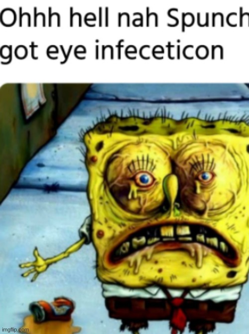 image tagged in memes | made w/ Imgflip meme maker