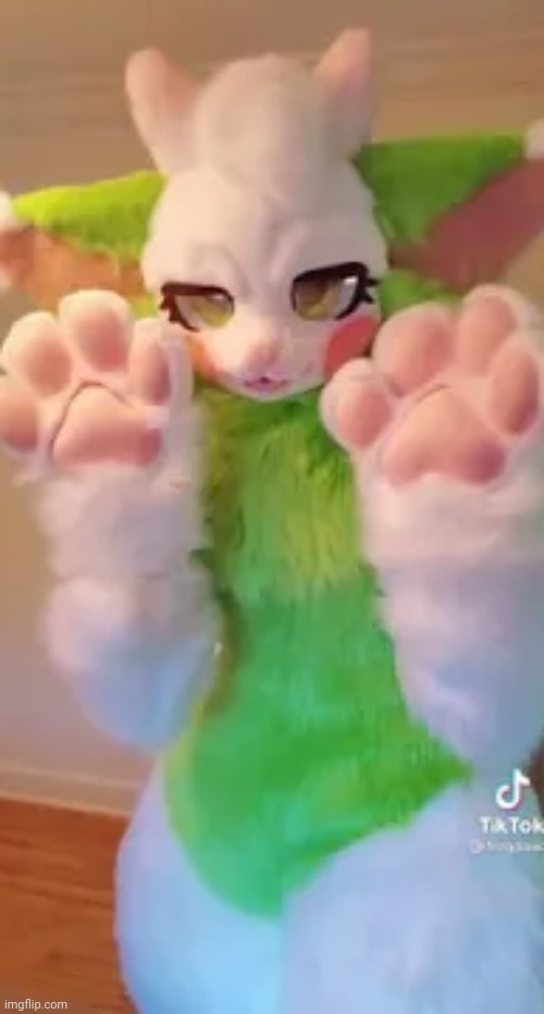 Cute furry because why not | image tagged in cute furry | made w/ Imgflip meme maker