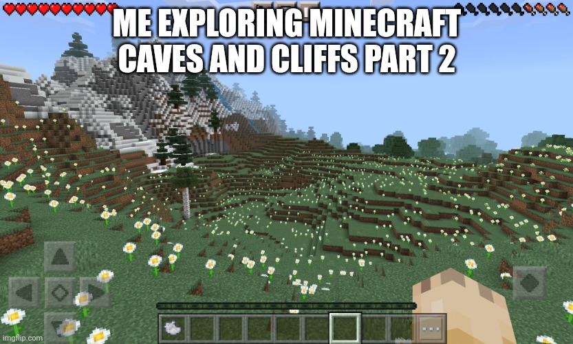 Me exploring caves and cliffs 2 | ME EXPLORING MINECRAFT CAVES AND CLIFFS PART 2 | image tagged in what | made w/ Imgflip meme maker