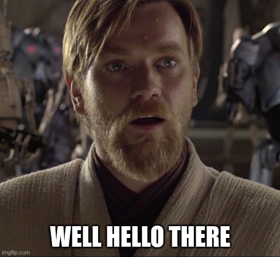 Obi Wan Hello There | WELL HELLO THERE | image tagged in obi wan hello there | made w/ Imgflip meme maker