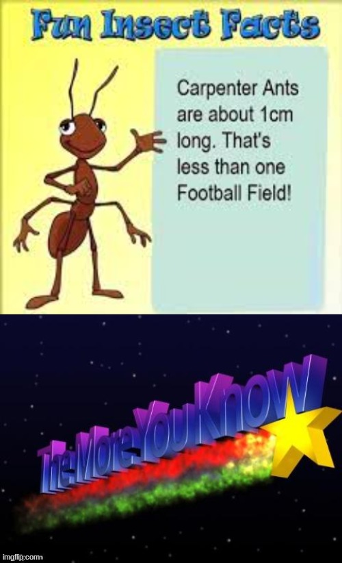 o_O | image tagged in the more you know | made w/ Imgflip meme maker