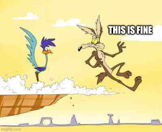 Wile E. Coyote roadrunner | THIS IS FINE | image tagged in wile e coyote roadrunner | made w/ Imgflip meme maker