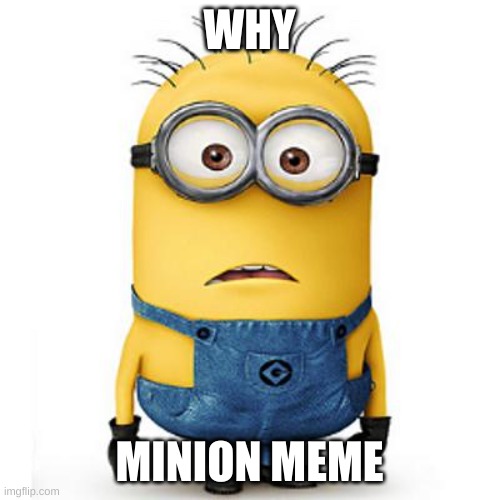 Minions | WHY MINION MEME | image tagged in minions | made w/ Imgflip meme maker