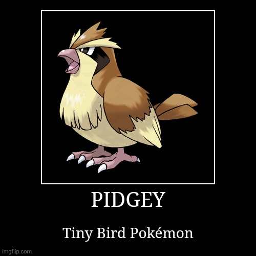 Pidgey | image tagged in demotivationals,pokemon,pidgey | made w/ Imgflip demotivational maker