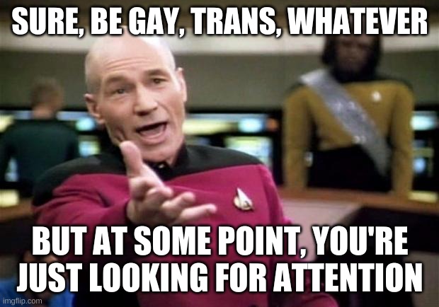 startrek | SURE, BE GAY, TRANS, WHATEVER BUT AT SOME POINT, YOU'RE JUST LOOKING FOR ATTENTION | image tagged in startrek | made w/ Imgflip meme maker