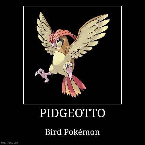 Pidgeotto | image tagged in demotivationals,pokemon,pidgeotto | made w/ Imgflip demotivational maker