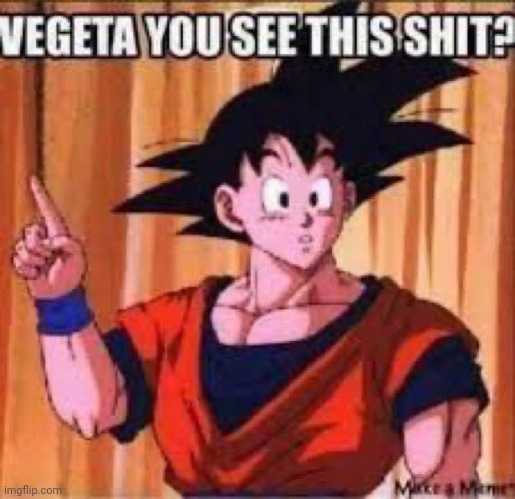 Vegeta you see this shit | image tagged in vegeta you see this shit | made w/ Imgflip meme maker