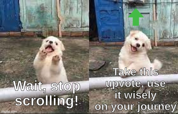 Wait! Stop scrolling! | Take this upvote, use it wisely on your journey; Wait, stop scrolling! | image tagged in wait stop scrolling,upvote | made w/ Imgflip meme maker