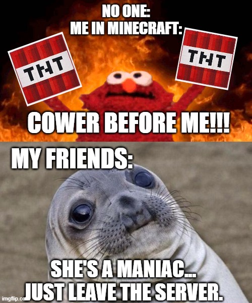 NO ONE:
ME IN MINECRAFT:; COWER BEFORE ME!!! MY FRIENDS:; SHE'S A MANIAC... JUST LEAVE THE SERVER. | image tagged in elmo fire,memes,awkward moment sealion | made w/ Imgflip meme maker