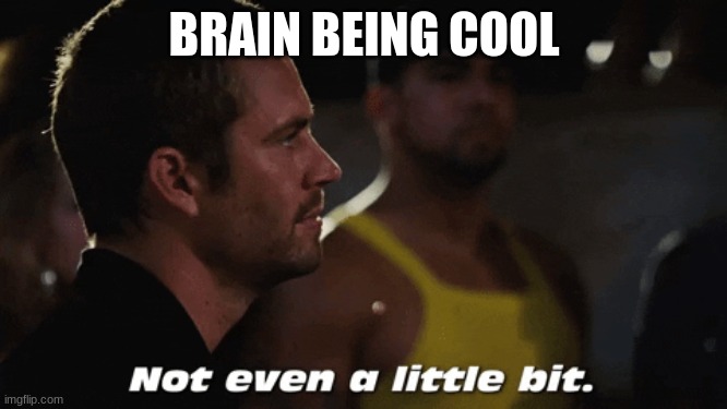 fast and furious paul walker | BRAIN BEING COOL | image tagged in fast | made w/ Imgflip meme maker